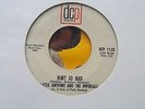 LITTLE ANTHONY HURT SO BAD NORTHERN SOUL PICTURE SLEEVE
