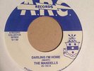 Mandells / Don & Lee - Darling I'm Home / Turn Out 7