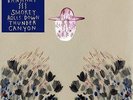 Devendra Banhart Smokey Rolls Down Thunder Canyon 2xLP vinyl record sealed