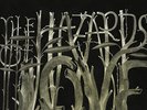 THE DECEMBERISTS THE HAZARDS OF LOVE NEW SEALED DOUBLE 180G VINYL LP IN STOCK