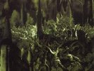 Anthems To The Welkin At Dusk [VINYL] Emperor Vinyl