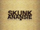 Smashes & Trashes - 4 DISC SET - Skunk Anansie (2010, Vinyl NEW)