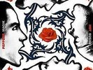 Red Hot Chilli Peppers 