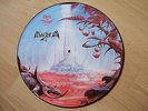 Picture Disc---