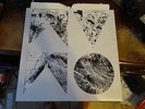 Of Monsters And Men - Beneath The Skin LP [Vinyl] CLEAR Double Record