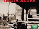 Essential Delta Blues 180 gram 2x Vinyl Double LP Waters Hooker Bukka Son House