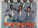 Southern Echoes - Have You Got Good Religion LP - BOS Soul Funk Gospel VG+ MP3