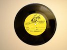 RARE LUCERO VINYL TEST PRESS LUCERO LOGGIA SPLIT LUCERO FAMILY PICNIC LOGGIA 45
