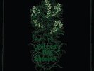 CULTES DES GHOULES-HENBANE -VINYL LP HELLS HEADBANGERS NEU