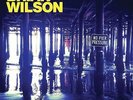 No Pier Pressure - WILSON BRIAN [2x LP]