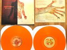 Between the Buried and Me - The Anatomy Of Vinyl 2xLP Orange RSD