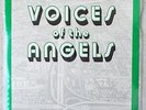 Voices of Angels LA Punk Spoken Word & Music 2 LP Set 1982 Kim Fowley Geza X
