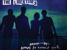 THE LIBERTINES - ANTHEMS FOR DOOMED YOUTH - NEW VINYL LP