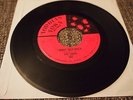 The Todds - I Want Her Back - Toddlin' Town garage punk dancer
