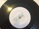THE DAMNED DODGY DEMO Love Song Burglar