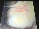 LP P J HARVEY dry UK 1992 PURE 10 VINYL VINILO