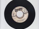 INVADER/HEAVEN AND EARH  -  THE INVADERS  (74 REGGAE ROCKERS  7