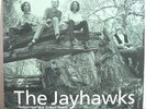 The Jayhawks-Tomorrow The Green Grass-Rare Original 1995 LP-American-Near Mint