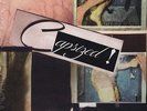 Circus Devils Capsized LP robert pollard/guided by voices/boston spaceships  NEW