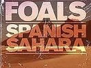 Foals 7' Spanish Sahara, Numbered.