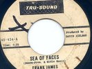Frank James RARE Northern Soul PROMO 45 TRU-SOUND 424 David Axelrod Sea Of Faces