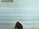 THE FOALS What Went Down Vinyl LP Gatefold 2015 NEW & SEALED