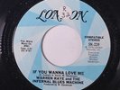 WARREN RAYE & INFERNAL BLUES MACHINE: If You Wanna Love Me / Don't Run From Lov