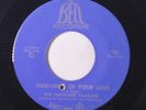 LEMONADE CHARADE: Hideaway Of Your Love / San Bernadino 45 (co) Rock & Pop