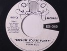 FUNKA FIZE: Because You're Funky / No Words 45 (re, sl storage warp) Funk