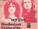 T.Rex Norway 1971 Hot Love  Woodland Rock king of the ..picture cover 45 Bolan