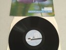 DJ Cam - Underground Vibes LP Vinyl