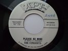 DooWop Group - Consorts - Apt 25066 - Please Be Mine