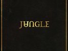 JUNGLE DEBUT ALBUM NEW SEALED VINYL LP IN STOCK