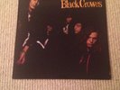 Black Crowes Shake Your Money Maker 12