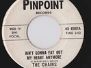 THE CHAINS Pinpoint EAT OUT MY HEART EL PASO TEXAS FUZZ GARAGE PUNK 45 hear