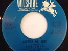 Bob Loye Another Mr Blue / Loving Tree Wilshire Teen Doo Wop 45 PROMO 