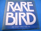 RARE BIRD 