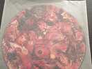 carcass symphonies of sickness picture disc lp rare napalm death macabre