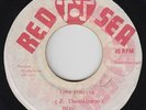 Roots Reggae 45 - Bim & Dynamics - Love Forever - Red Sea - mp3