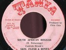 Skin, Flesh & Bones - South African Reggae JA Tanya C LISTEN