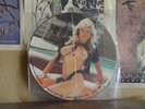 SAMANTHA FOX, INTERVIEW PICTURE DISC - LP NUDE NAKED CHEESECAKE BAK 2023