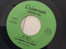 Lee Andrew And The Hearts. Ive Had It/Little Bird