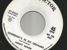 POPCORN MURDER NORTHERN--NANCY ADAMS- SOMEBODY'S IN MY ORCHARD-HEAR- 1964 DJ RCA