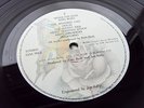 KATE BUSH NEVER FOREVER 1980 Press LP MINT TIME CAPSULE COPY