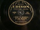 78- THIN EDISON 14028 -EDISONSTERS  -MEANDER IN THE MEADOW /  PEACE OF MIND