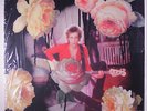 RICHARD HELL & VOIDOIDS: Destiny Street LP (signed, numbered, poster, no CD, pa