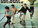 BEAT - GARAGE - THE BEAU BRUMMELS - JUST A LITTLE - RARE FRENCH EP
