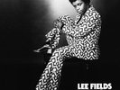 Let's Talk It Over - Lee Fields (2013, Vinyl NEW)