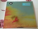** STILL SEALED ** The Flaming Lips - The Terror on Silver vinyl with CD
