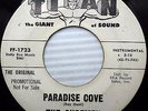 the SURFMEN Paradise Cove b/w Ghost Ship WHITE LABEL PROMO surf 45 on TITAN w10